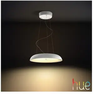 Comparateur de prix : Philips Hue White Ambiance Amaze Suspension, LED, 8719514341098,