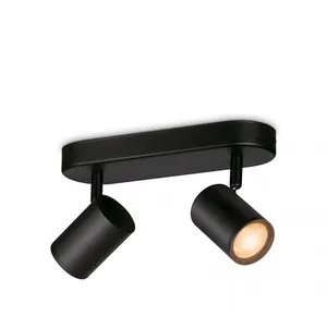 WiZ Spots Connecté Wi-Fi couleur IMAGEO 2x5W 22-65K, Noir