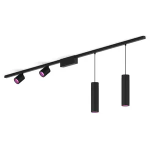 Philips Perifo Kit De Base Pour Plafond, Droit (2 spots, 2 suspensions)