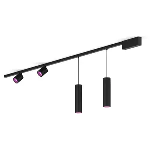 Philips Perifo Kit De Base Pour Plafond, Droit (2 spots, 2 suspensions)
