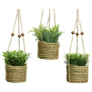 Comparateur de prix : Plante artificielle suspendue - plusieurs modeles.