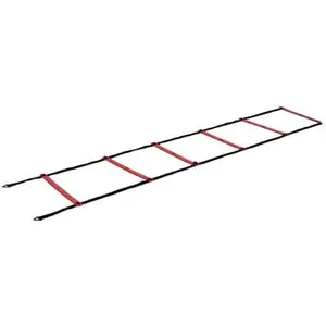 Comparateur de prix : Pure2Improve Échelle d'agilité Pro 450 cm P2I200360 TU