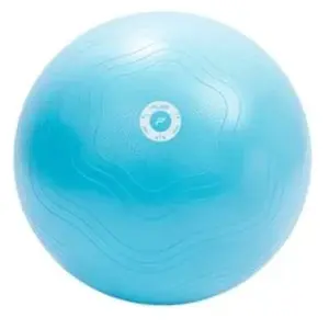 Balle de yoga Pure2Improve antiburst Bleu TU P2I201470Vendu parrakuten