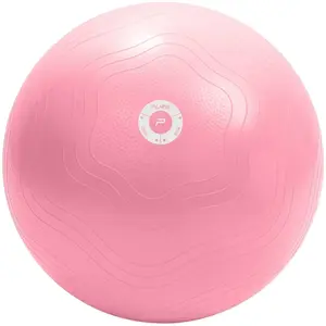 Comparateur de prix : Pure2Improve Ballon d'exercice 65 cm Rose