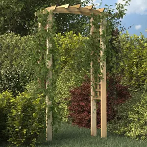 Comparateur de prix : vidaXL Arche en treillis 110x60x210 cm Bois de pin massif imprégné