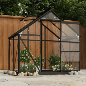 vidaXL Serre Anthracite 155x103x191 cm Aluminium et verre pas cher