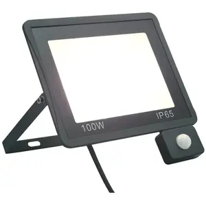 Comparateur de prix : VIDAXL Projecteur à LED avec capteur 100 W Blanc froid