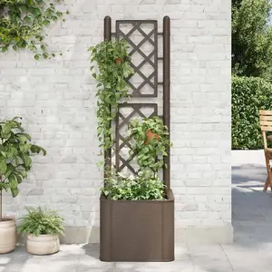 vidaXL Lit surélevé de jardin et treillis et système d'arrosage Moka pas cher