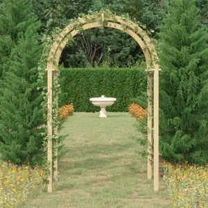 Comparateur de prix : vidaXL Arche 141x97x243 cm Bois de pin massif imprégné