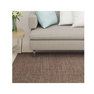vidaXL Tapis Sisal naturel 66x150 cm Marron pas cher