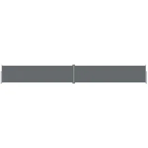 Comparateur de prix : vidaXL Auvent latéral rétractable Anthracite 160x1200 cm