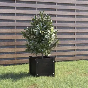 vidaXL Jardinière d'extérieur Noir 31x31x31 cm Bois de pin massif