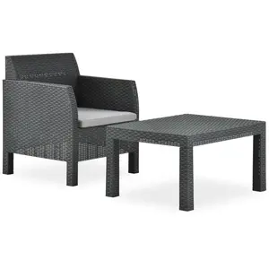 Comparateur de prix : vidaXL Salon de jardin 2 pcs avec coussin PP Rotin Anthracite