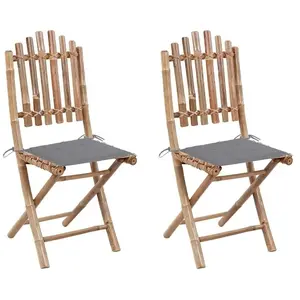 vidaXL Chaises pliables de jardin 2 pcs avec coussins Bambou pas cher