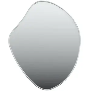 vidaXL Miroir mural Argenté 60x50 cm pas cher