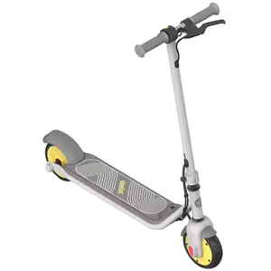 Comparateur de prix : NINEBOT BY SEGWAY AA.00.0011.61 Zing C8 Trottinette électrique Gris/Jaune Standard