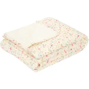 Couverture Fairy Wonders pas cher