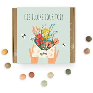 Vilmorin Coffret Cadeau - Des fleurs pour toi - 9 bombes à graines - BIO | Blossombs pas cher