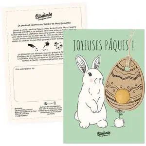 Carte ufs de Pâques à planter - Lapin - 1 bombe à graines - BIO | Blossombs pas cher