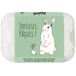 ufs de Pâques à planter - Lapin - 6 bombes à graines - BIO | Blossombs pas cher