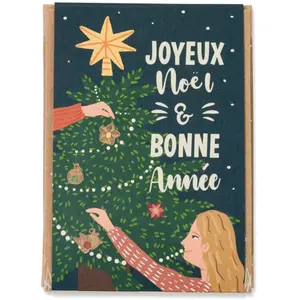 Coffret Cadeau Mini - Joyeux Noël & Bonne Année - 4 bombes à graines - BIO | Blossombs pas cher