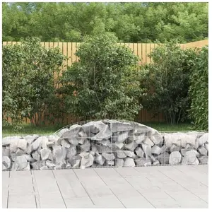 vidaXL Panier de gabions arqué 300x50x40/60 cm Fer galvanisé