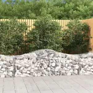 Comparateur de prix : vidaXL Paniers à gabions arqués 6 pcs 200x50x60/80 cm Fer galvanisé