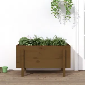 vidaXL Lit surélevé de jardin brun miel 101x50x57cm bois de pin massif pas cher