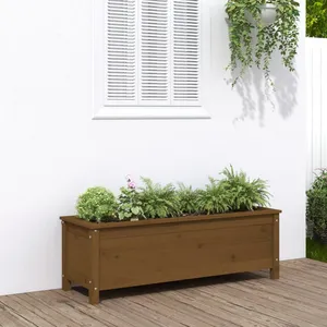 vidaXL Lit surélevé de jardin brun miel 119,5x40x39 cm bois pin massif pas cher