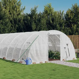 vidaXL Serre avec cadre en acier blanc 24 m² 6x4x2 m