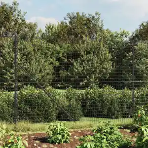 Comparateur de prix : vidaXL Clôture en treillis métallique et ancrage anthracite 1,4x10 m