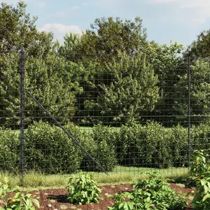 Comparateur de prix : vidaXL Clôture en treillis métallique anthracite 1,6x25 m