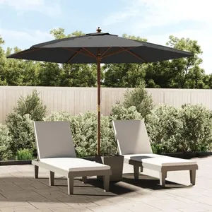 vidaXL Parasol de jardin avec mât en bois anthracite 299x240 cm pas cher