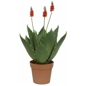Kaemingk Agave fleurie artificielle - Nos Envies Déco pas cher