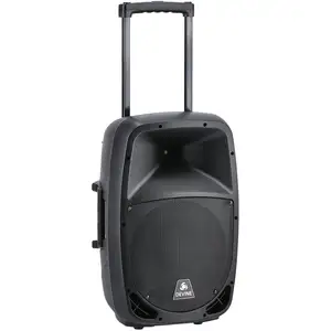 Devine Sound Scout 12A enceinte portable avec micros sans fil pas cher