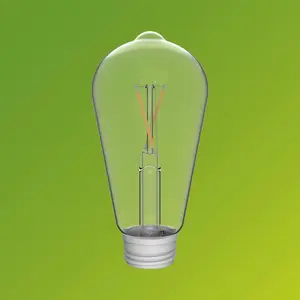 Ampoule de rechange Philips 2,4 W 27 V ST64 pour lampes solaires pas cher