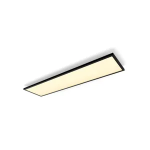 Philips Hue White Ambiance Aurelle Panneau LED LED, 8720169158955,
