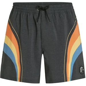 Comparateur de prix : O´neill Short De Bain O´riginals Longboard 15´´