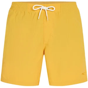 O´neill Short De Bain Vert 16´´ pas cher