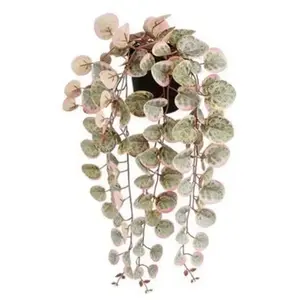 Mica Decorations Plante décorative Ceropegia Woodii 10 x 46 x 12 cm ar... pas cher