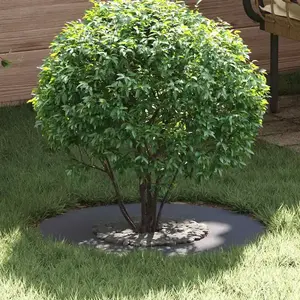 vidaXL Pot en résine  Anthracite Résine Moyen Jardinières pas cher