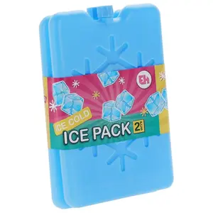Electrodepot Accumulateurs De Froid X2 16x10 Cm pas cher