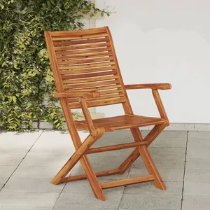 vidaXL Chaises pliantes de jardin avec accoudoir lot de 2 pas cher
