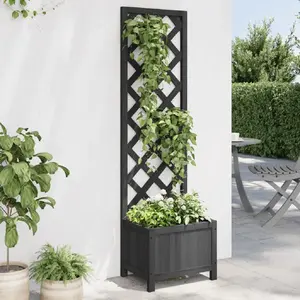 Comparateur de prix : vidaXL Jardinière avec treillis noir bois massif de sapin