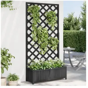 Comparateur de prix : vidaXL Jardinière avec treillis noir bois massif de sapin