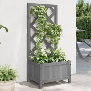 Comparateur de prix : vidaXL Jardinière avec treillis gris bois massif de sapin