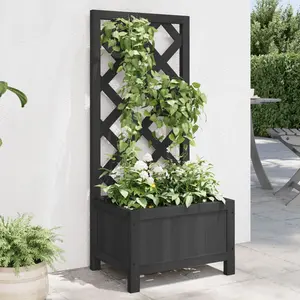 Comparateur de prix : vidaXL Jardinière avec treillis noir bois massif de sapin