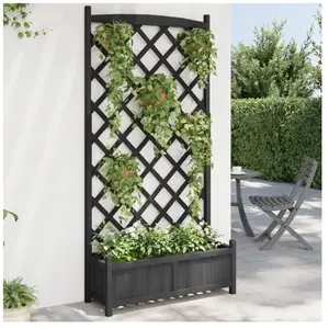 Comparateur de prix : vidaXL Jardinière avec treillis noir bois massif de sapin