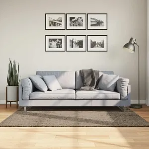 Comparateur de prix : vidaXL Tapis ISTAN à poils longs aspect brillant gris 120x170 cm