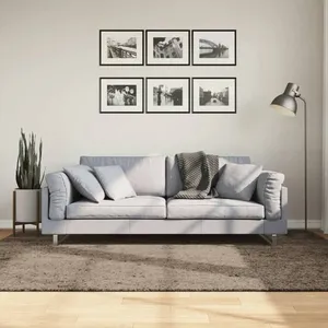 Comparateur de prix : vidaXL Tapis ISTAN à poils longs aspect brillant gris 160x230 cm